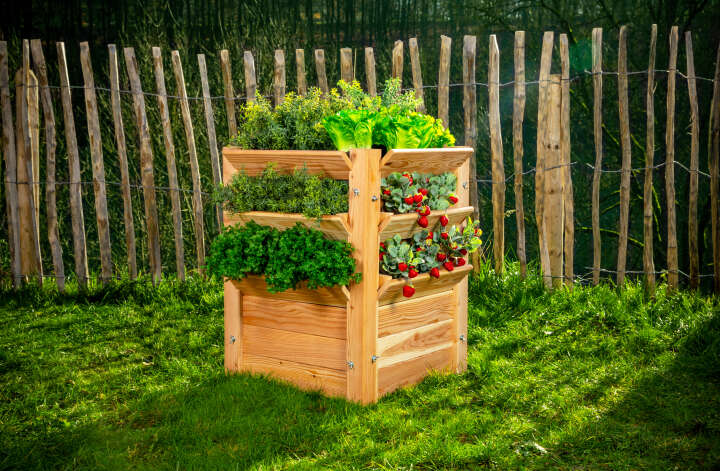 WESTMANN Hochbeet Premium